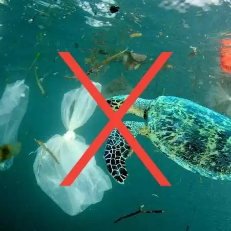eco friendly packing